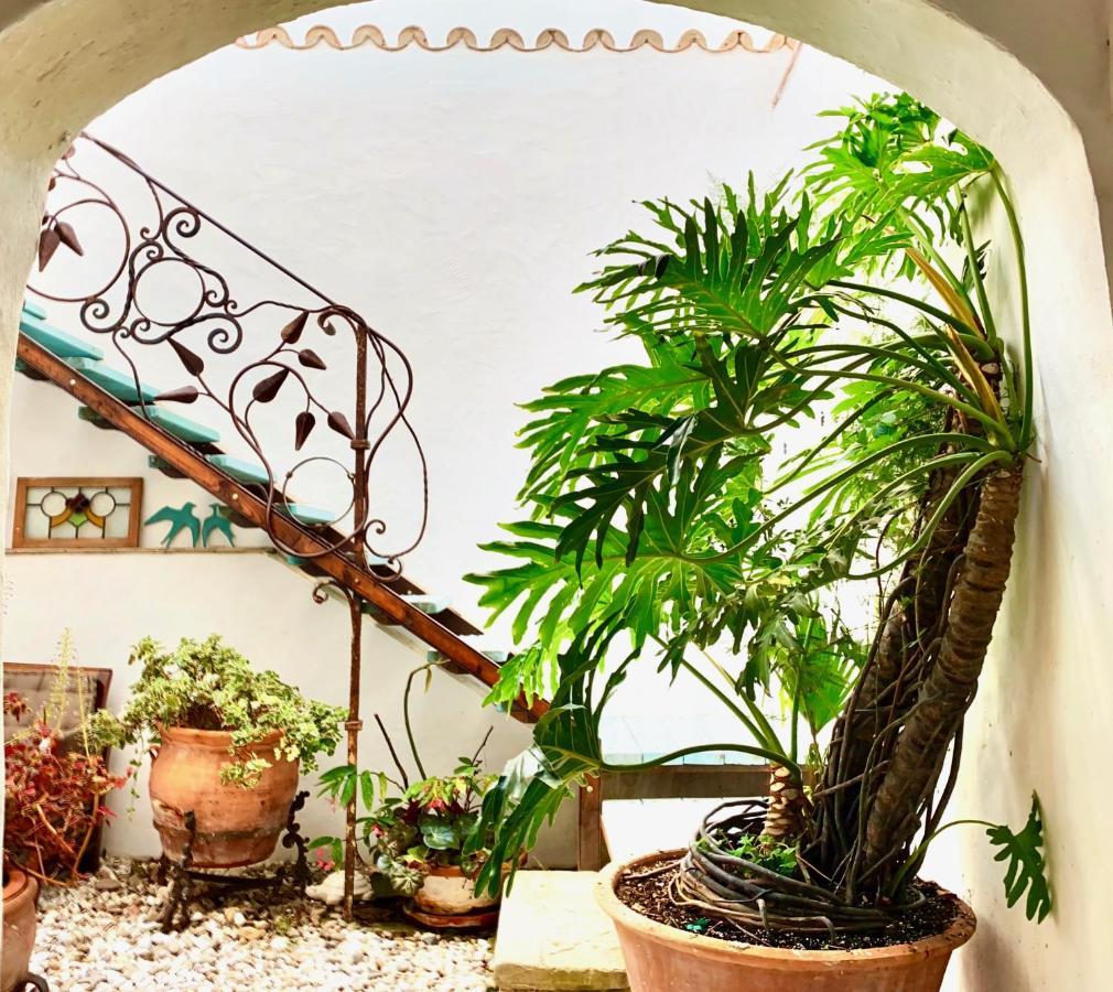 베예데라프론테라 Casa Del Teatro Luxury Casas Vejer Debra 빌라 외부 사진